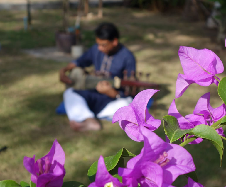 flower