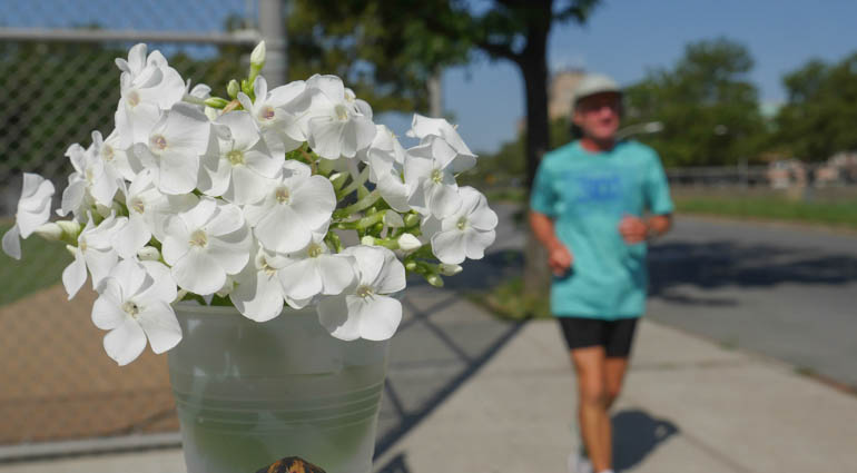 flower yuri-1350453